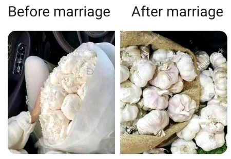 Memes & Satire image