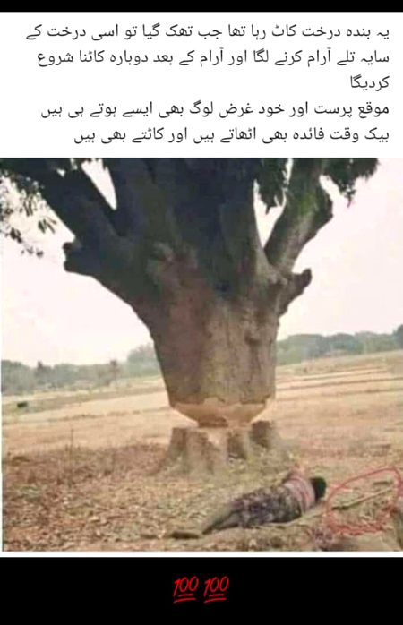 Sar pereee log ha dd k pagal