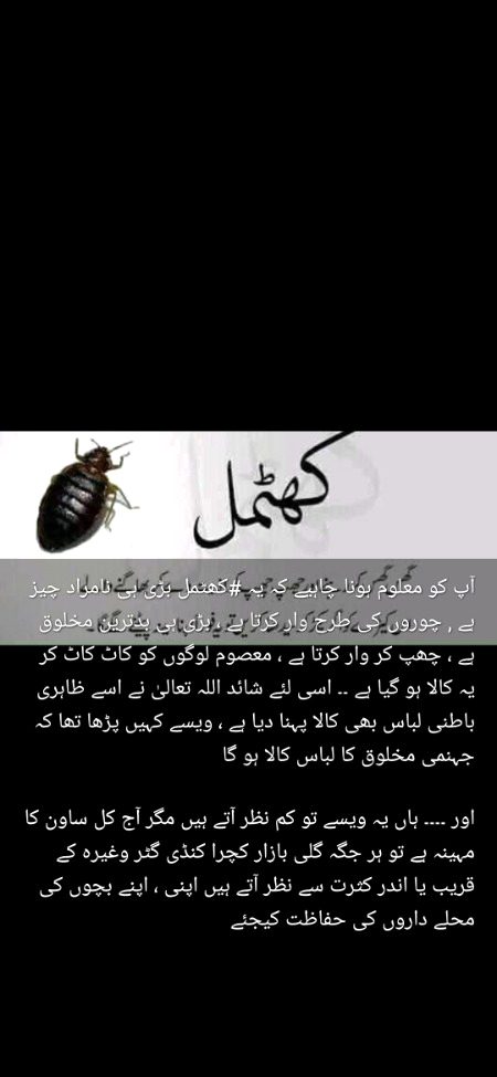 آدم کو سجدہ کرتے وقت تمام فرشتے ایک طرف تھے اور دوسری طرف اکیلا ابلیس تھا
اکیلے ہونے کا یہ مطلب نہیں تھا کہ وہ حق پر تھا✌️
