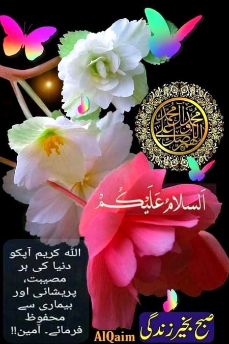 Asslam o alaikim happy sunday