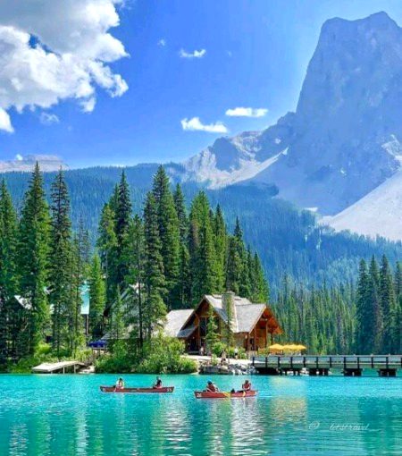 Beautiful Nature image