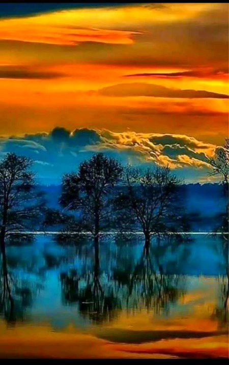 Beautiful Nature image