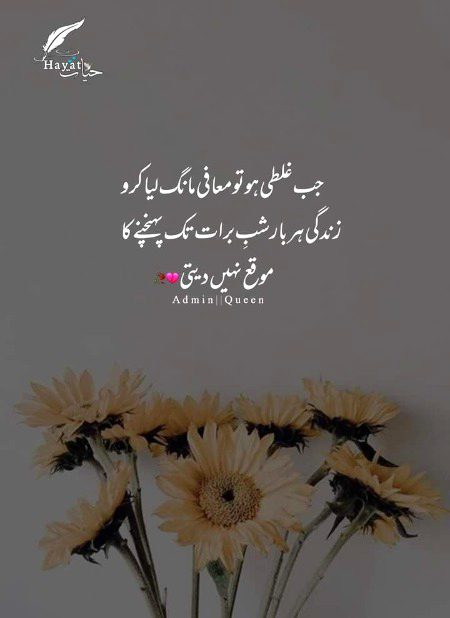 Life Advice image
