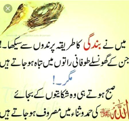 Islamic Quotes image
