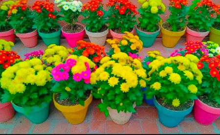 Beautiful Nature image