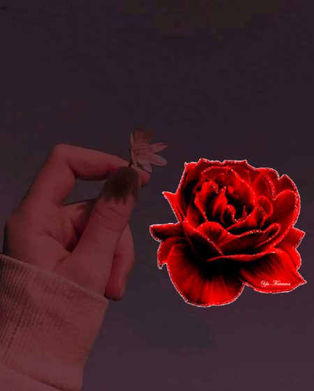 *_اپنی زندگی کا مقصد فقط "اللَّه" کی خوشنودی بنالیجیے۔۔۔!!_*
*_پھر آپ کبھی نہیں ٹوٹیں گے،،_*
*_کبھی نہیں بکھریں گے،،_*
*_کبھی نہیں ہاریں گے ۔۔۔۔!!_*💯