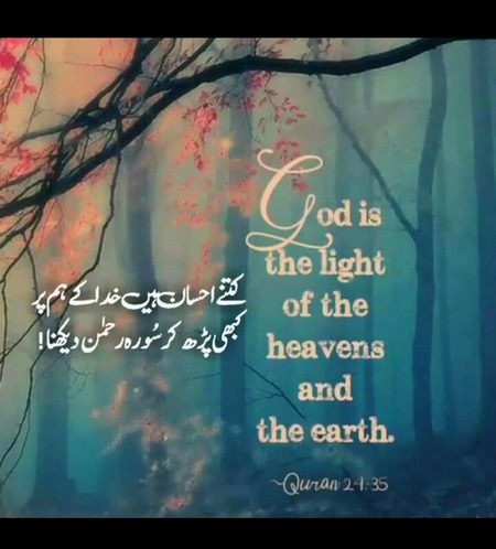 ❤ Beautiful ❤️
