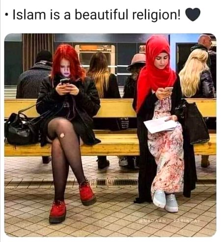 Memes & Satire image