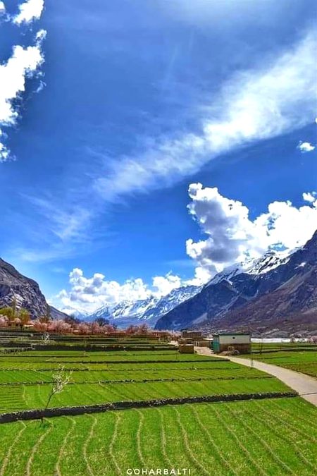 😍Gahizar valley pak
