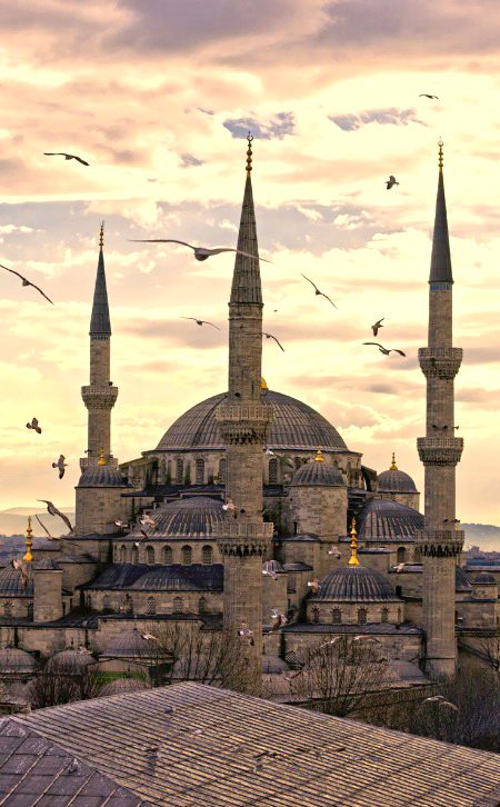 Beautiful Structures image