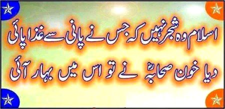 Islamic Quotes image