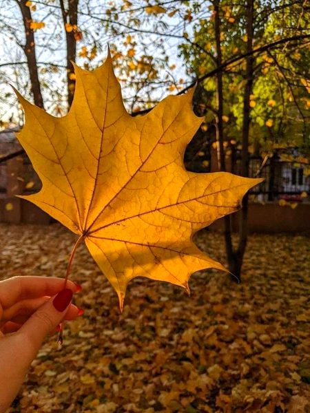 Beautiful Nature image