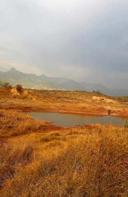 Beautiful Nature image