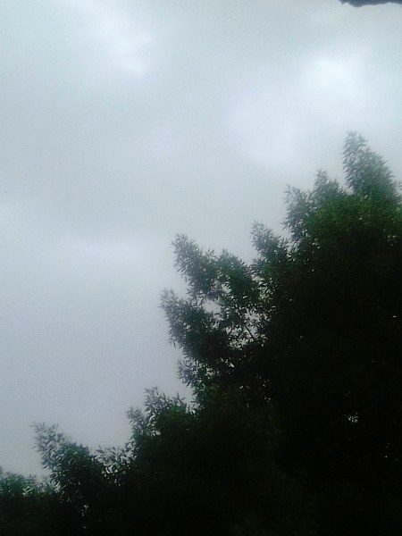 Beautiful Nature image