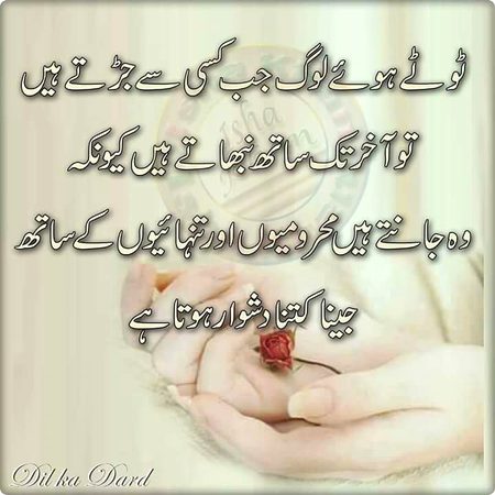 True lines...