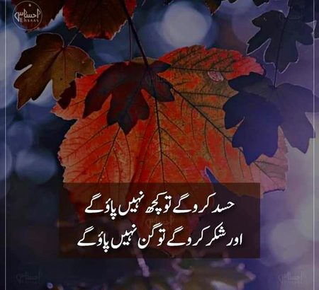 Life Advice image