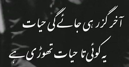 Sayni Siddiqui