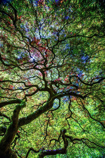 Beautiful Nature image