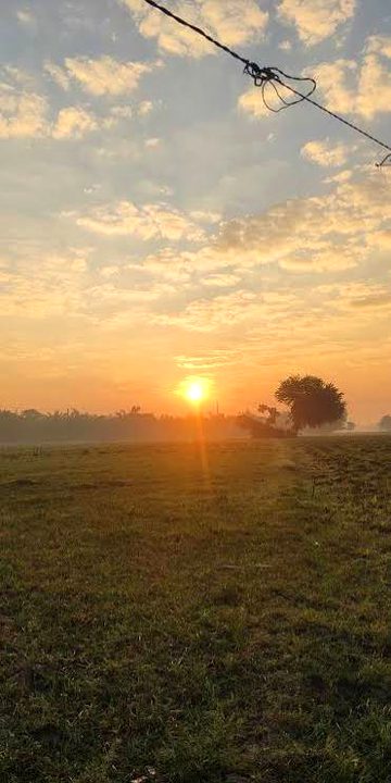 Morning view 👌🌄