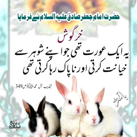 Interesting Posts image