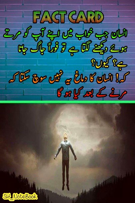 Interesting Posts image