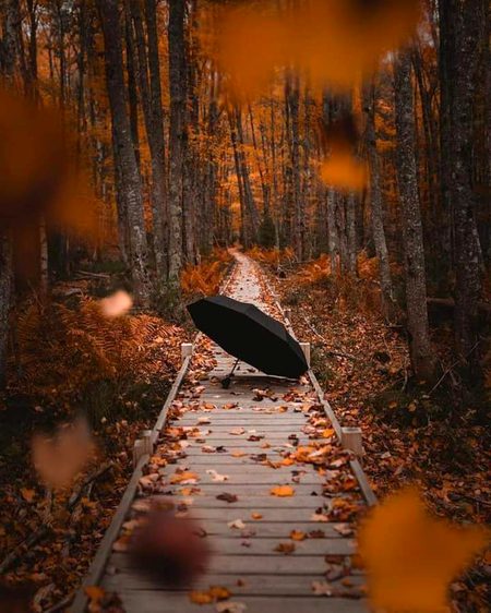 Beautiful Nature image