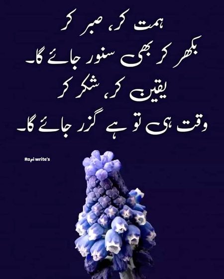 🧡❤️🖤🧡❤️🖤🧡❤️🖤