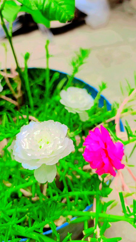 Beautiful Nature image