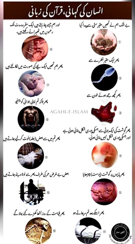 Islamic Quotes image