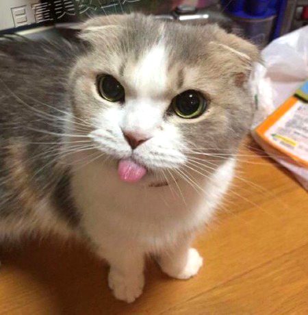 Beautiful Nature image