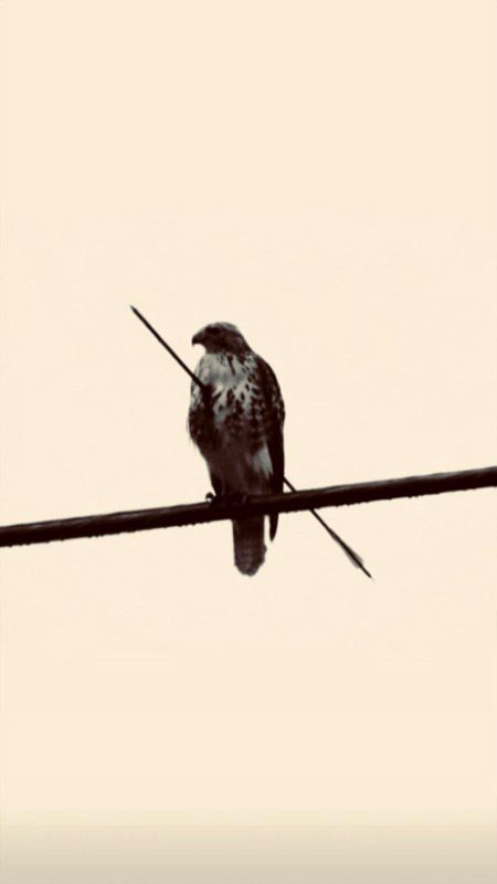 𝙍𝙚𝙖𝙡𝙞𝙩𝙮 ❤🩹