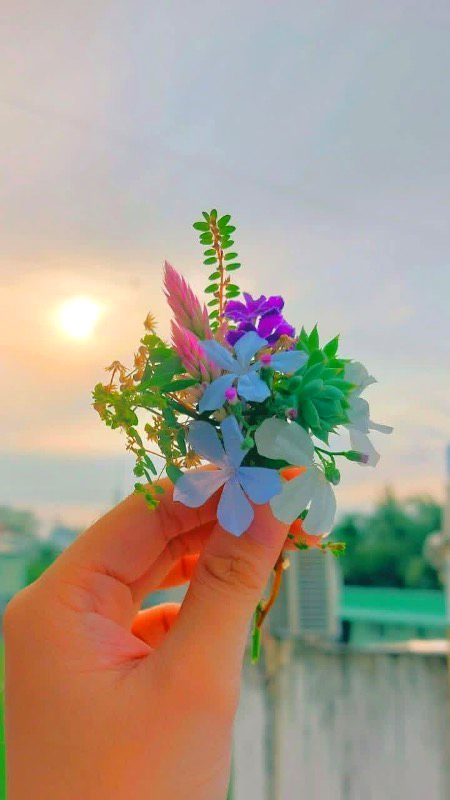 Beautiful Nature image