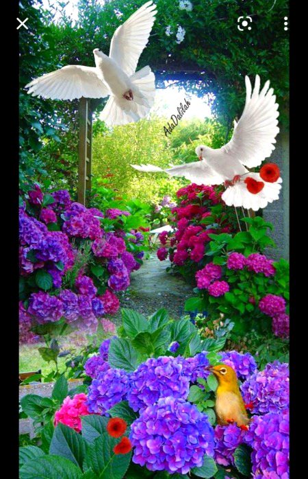Beautiful Nature image