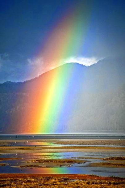 Beautiful Nature image