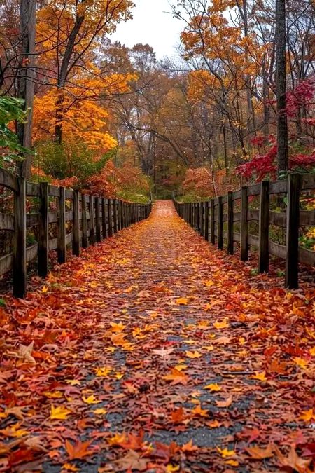 Beautiful Nature image