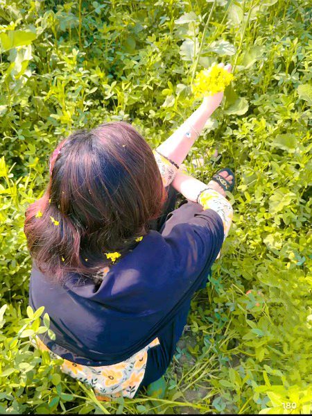 Beautiful Nature image