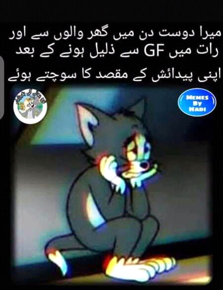 Memes & Satire image