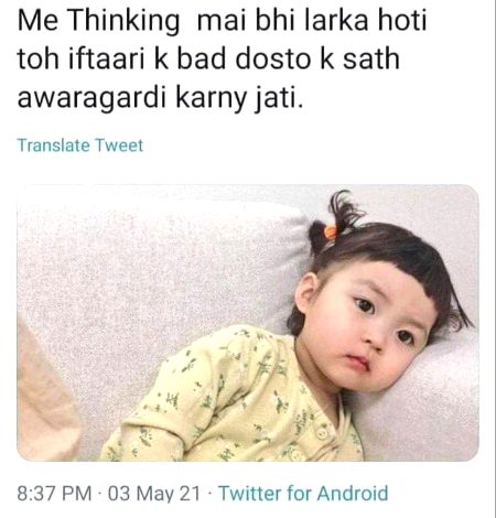 Memes & Satire image