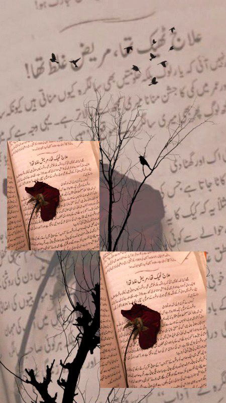 Ya peyar muhbt sirf novels or darama ki had tk achy hoty han