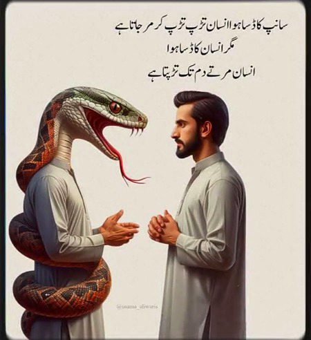 Memes & Satire image