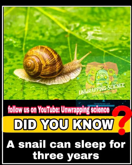 Interesting Posts image