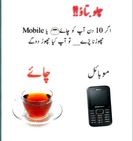 Interesting Posts image