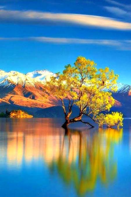 Beautiful Nature image