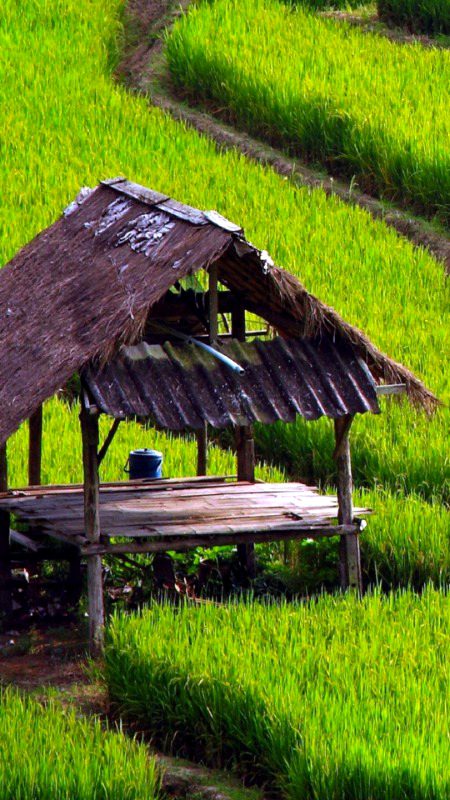 Beautiful Structures image