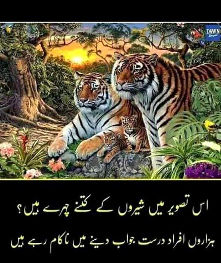 Riddles & Puzzles image