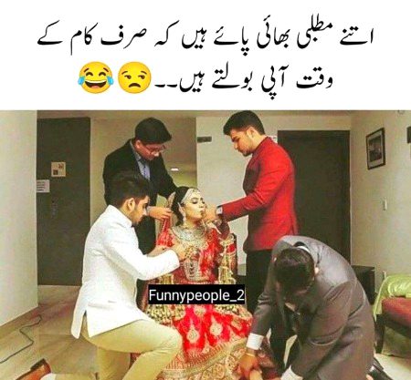 Memes & Satire image