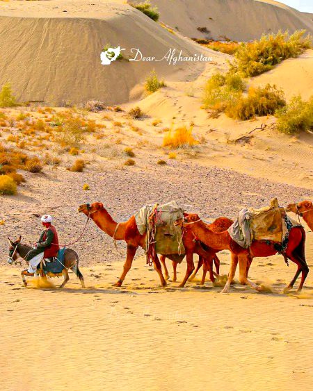 Beautiful Nature image