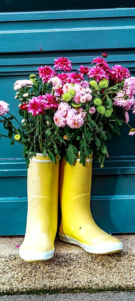 Beautiful Nature image