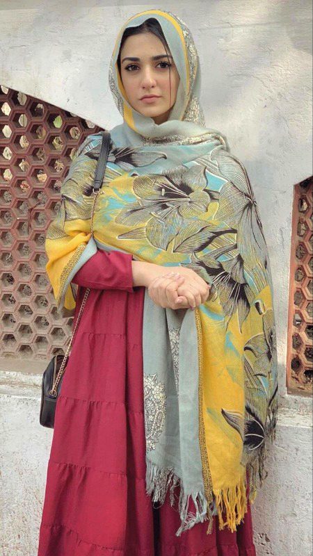 Pakistani Celebs image