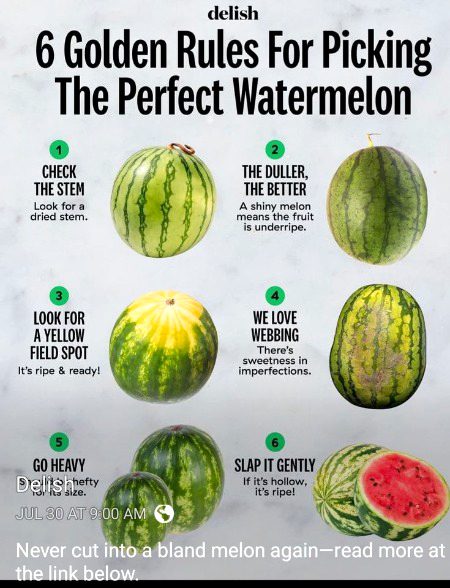 Interesting Posts image